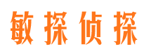 鸡泽侦探